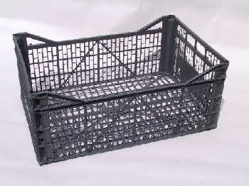 ZUBIA&nbsp;&nbsp;Plastic Crtae