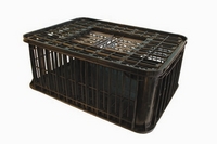 Poultry & small animal transportation cages.