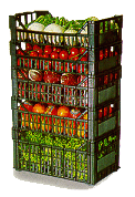 QUENTAR CRATE&nbsp;&nbsp;Plastic BOX, CRATE, TRAY